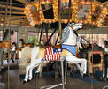 Outside Row Flag Horse